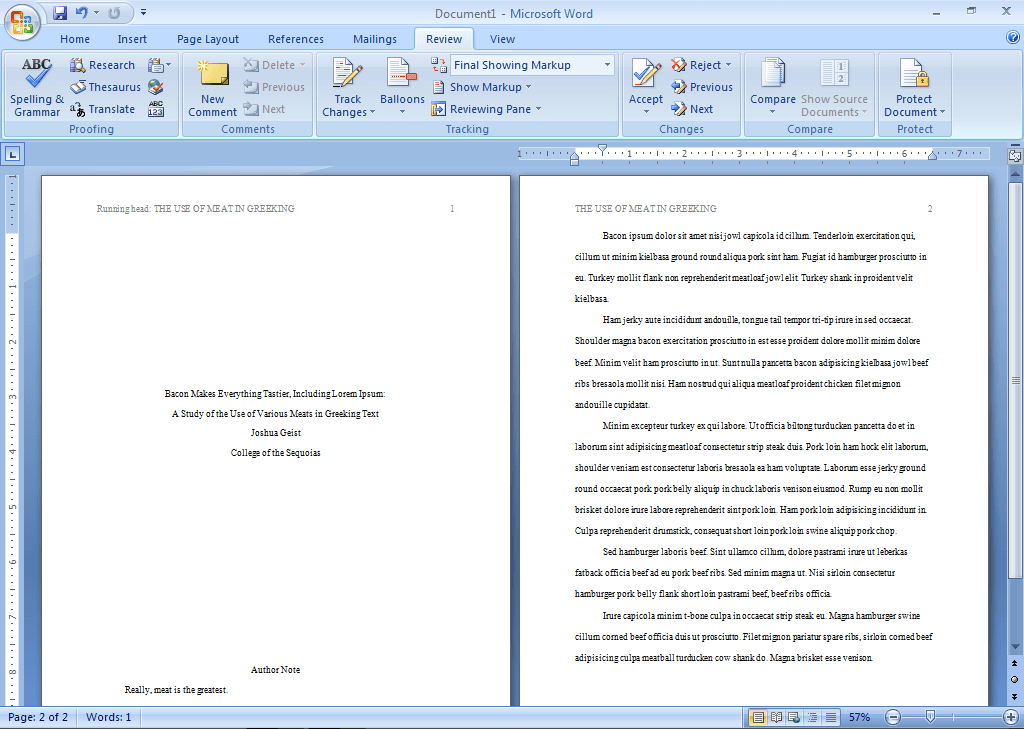 Apa format essay example paper