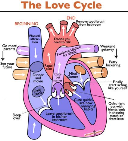 What makes for a first-rate heart diagram?