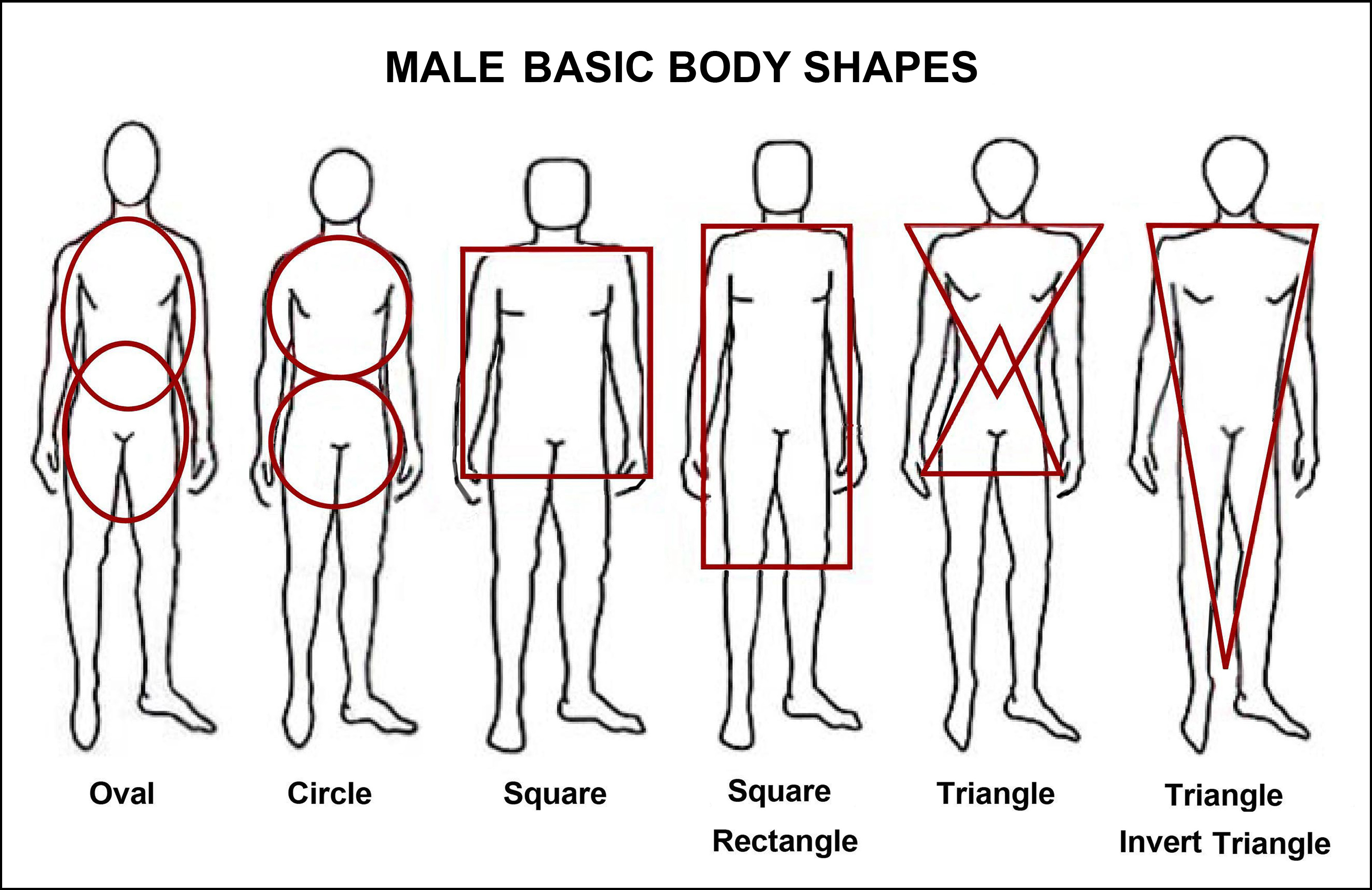 Male's body types - Obfuscata