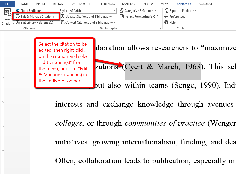 Create apa citation for website