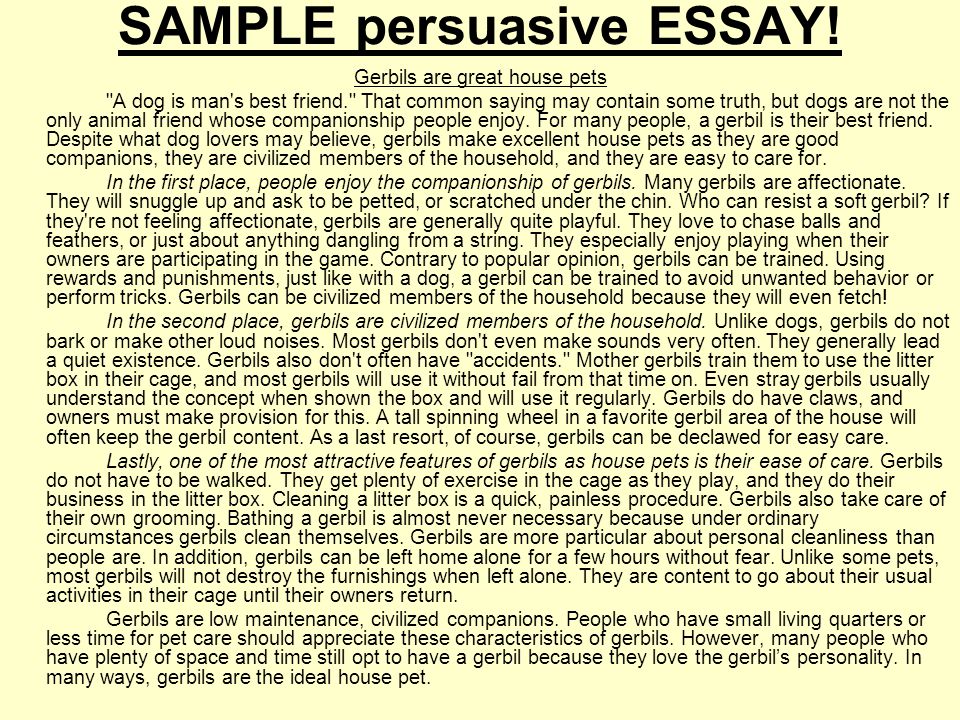 thesis informative essay thesis informative essay