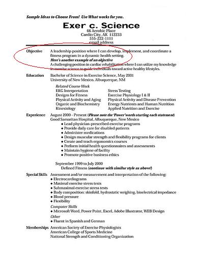 Resume Objective Statement resume-objective-statement
