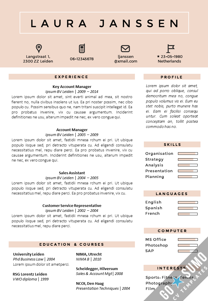 where can you find a cv template