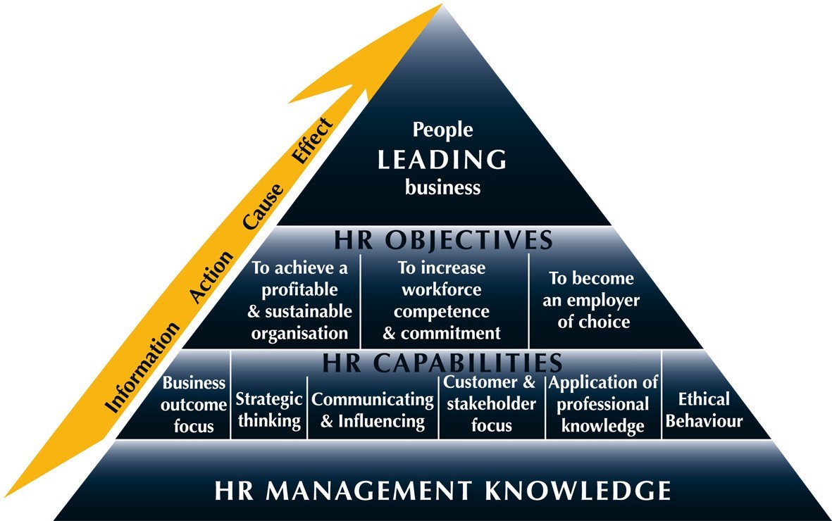 Human Resource Management Critical Analysis of a