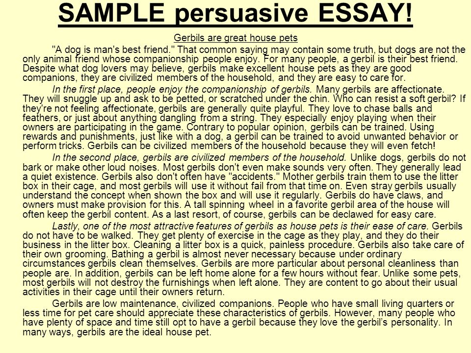 how to end a persuasive essay examples