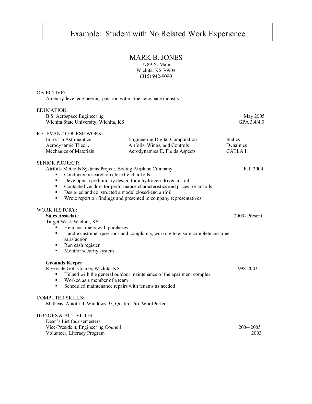 Resume Work Experience Samples