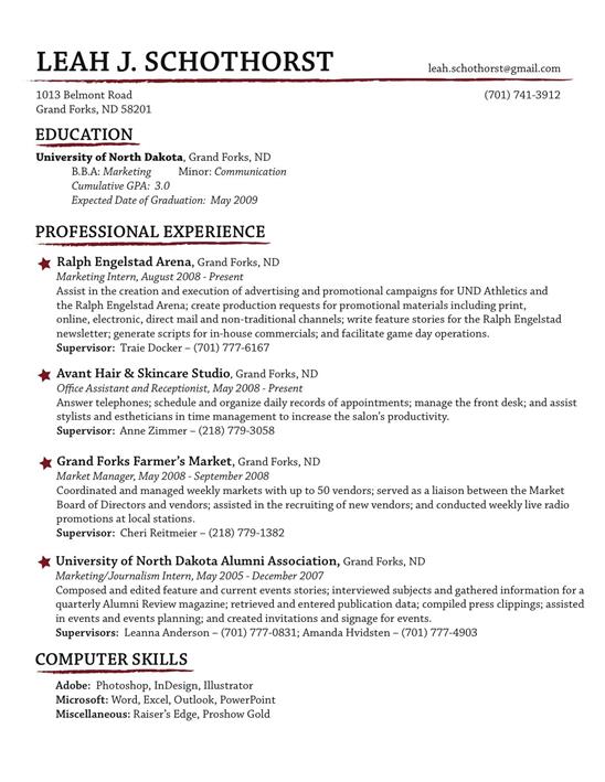 Resume format with example