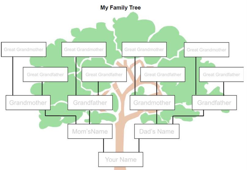 Where can you find a Family  Tree  Template 