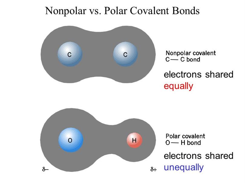 polar covalent bond 17