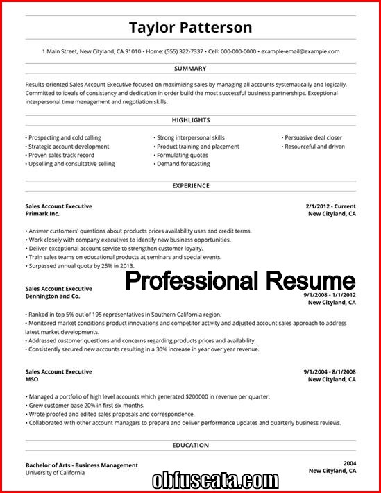 Professional resume services online